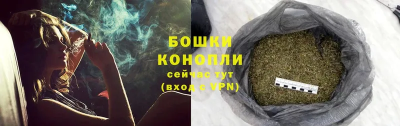 Конопля OG Kush  купить   Петрозаводск 